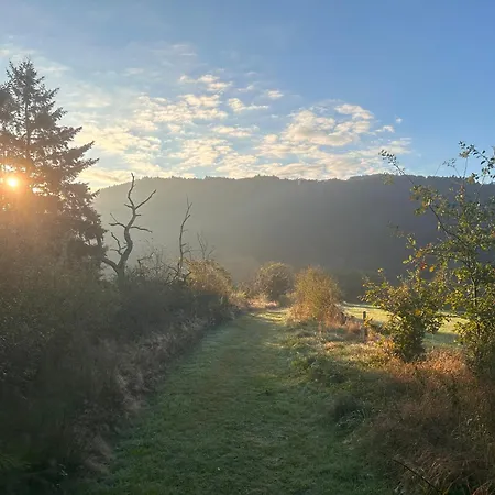 Gasthof Restaurant - Im Pfenn 3*